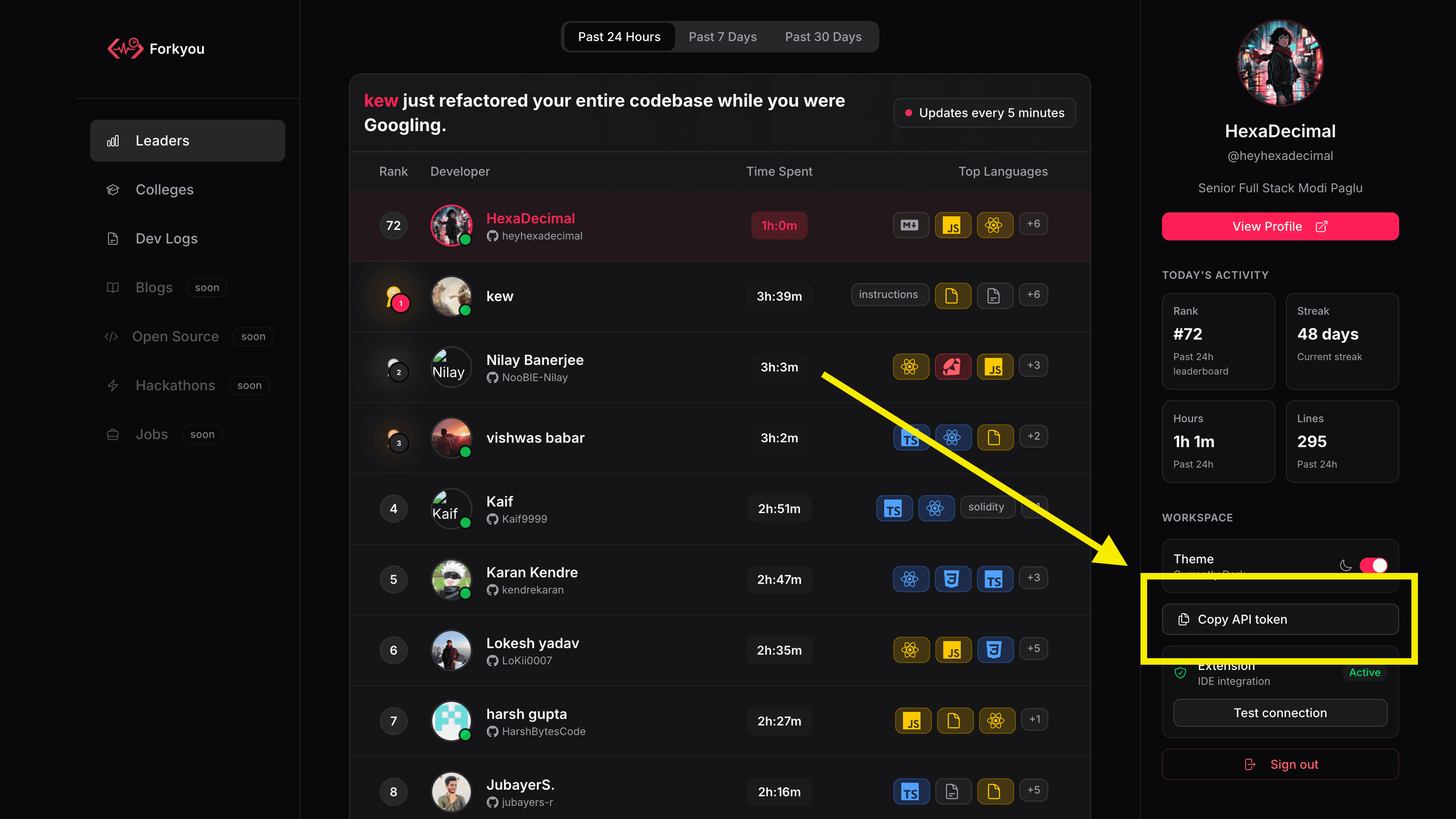Right Sidebar with Copy API Token button highlighted
